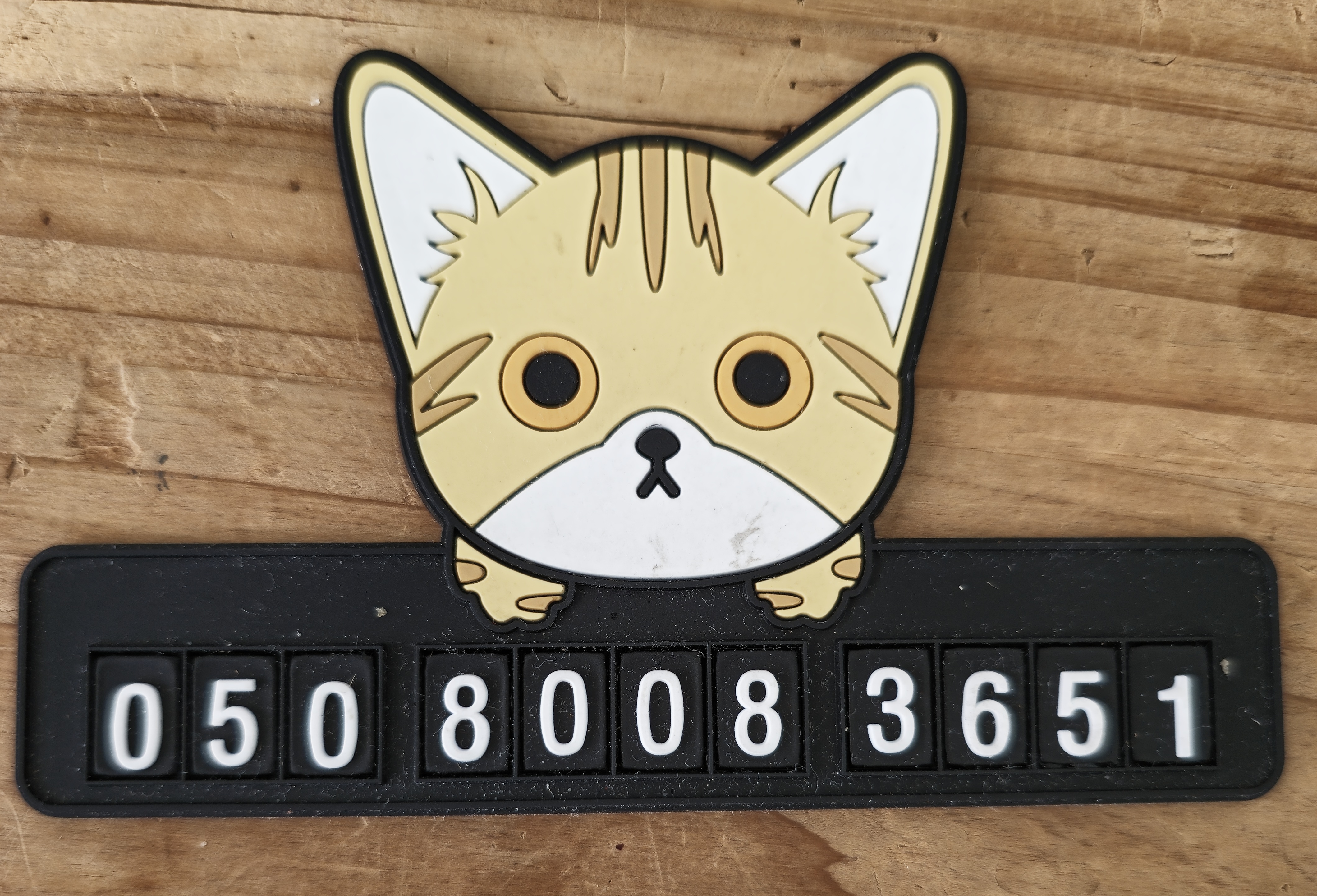 050 샘플사진